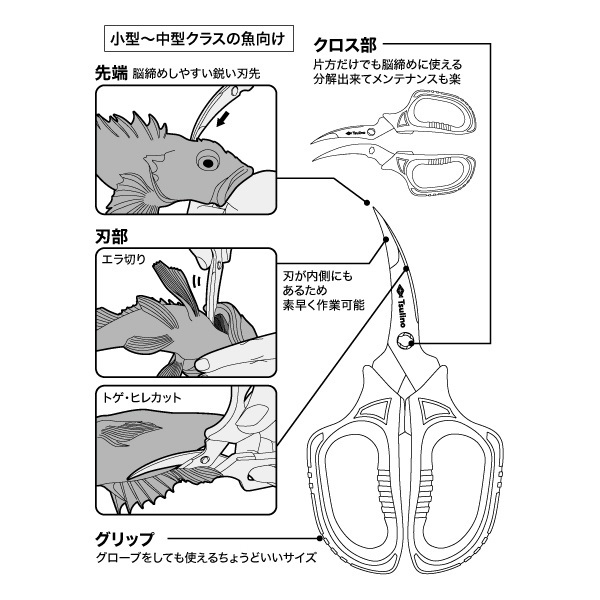 魚をおいしく安全に持ち帰る活き締めハサミ